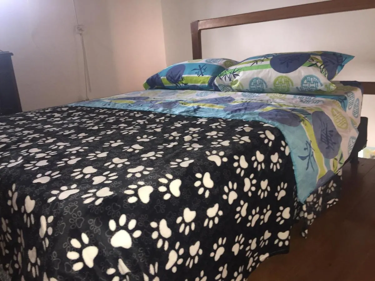 Apartamento Lof, Duplex, Iluminado, Bueno , Centrico Y Bien Ubicado En Laureles Estadio Medellin Colombia